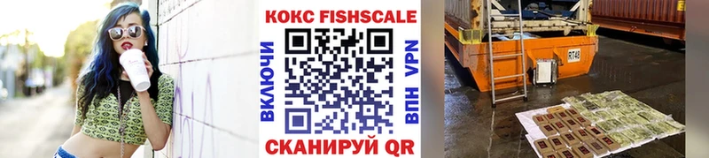 Кокаин FishScale  где купить наркоту  блэк спрут маркетплейс  Электроугли 