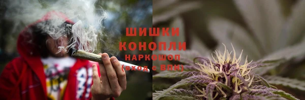 PSILOCYBIN Абдулино