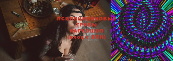 spice Абинск