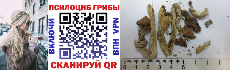 Галлюциногенные грибы GOLDEN TEACHER Электроугли